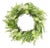 Mixed Fern Foliage Wreath 27.5"D For Sale