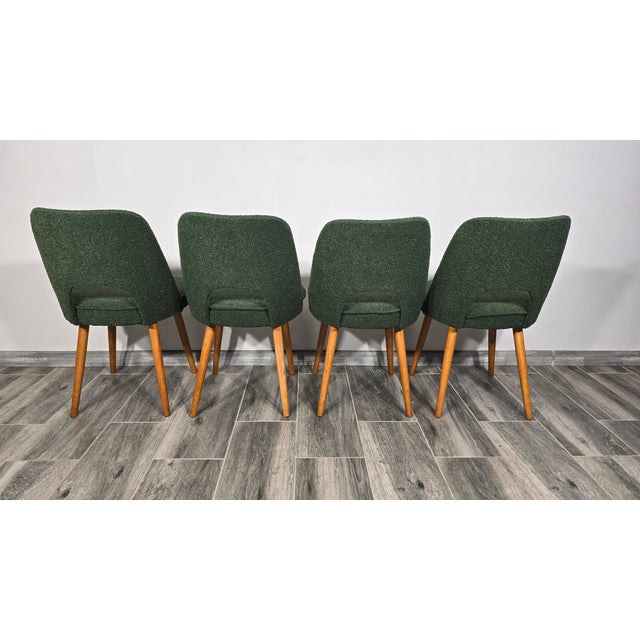 Dining Chairs by Oswald Haerdtl for Ton, 1950s, Set of 4 For Sale - Image 10 of 12