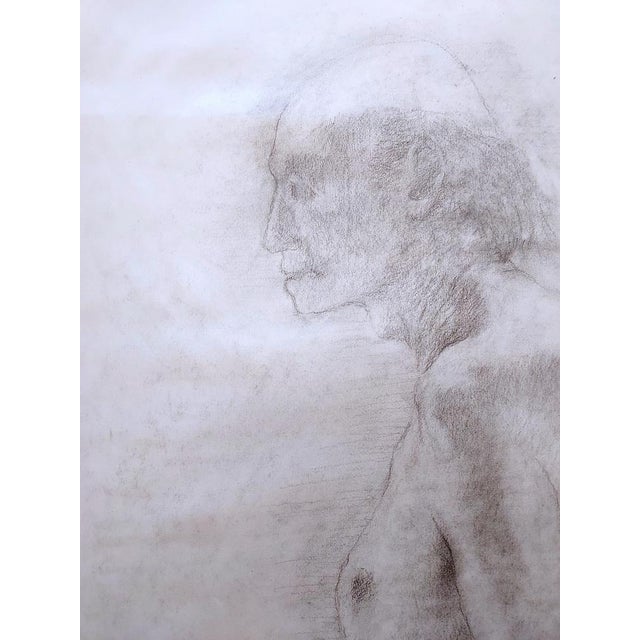 Gilbert Pastor (1932 - 2015) Nude study Drawing on paper. Carry the workshop stamp on the back. Dimensions of the work:...