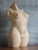 Beige Graham Glynn, Female Nude Torso Sculpture, 2012, Ceramic For Sale - Image 8 of 8