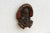 Rare and Evocative African Mask For Sale - Image 4 of 8
