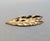Vintage 1981 Napier Goldtone Frosted Leaves Brooch For Sale In Philadelphia - Image 6 of 7