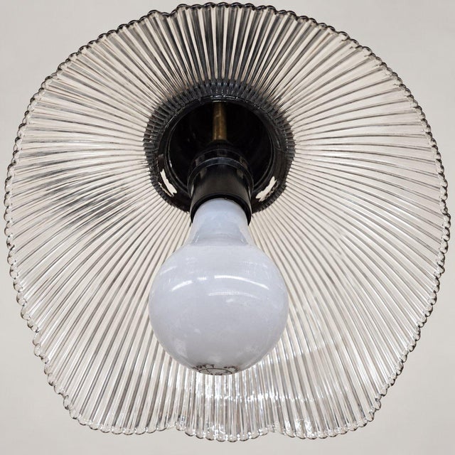 Transparent Vintage Eagle Pendant Light, Ribbed Glass Shade, Upcycled Fixture For Sale - Image 8 of 16