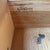 Mid 20th Century American of Martinsville (Silhouette) Pair of Chest Drawers For Sale - Image 5 of 12