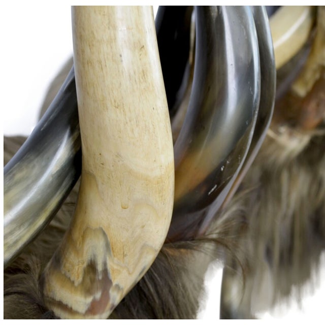 Bone 1970s Newel Antiques Rustic Continental Horn and Fur Chairs- Set of 2 For Sale - Image 7 of 7