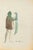 Watercolor on paper. Hand signed lower right. Very good condition. This piece is attributed to the mentioned...
