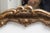 Italian Rococo Style Giltwood Mirror For Sale - Image 4 of 6