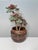 Hand-Thrown Ceramic Art Planter with Organic Line Rim Decoration by Helma Klett, Germany, 1970s For Sale - Image 4 of 15