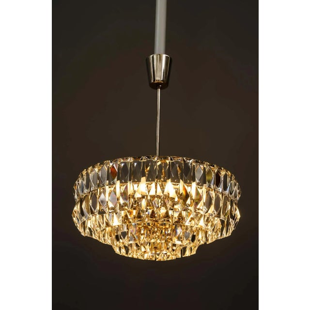 Chandelier from Bakalowits & Söhne, 1950s For Sale - Image 8 of 18