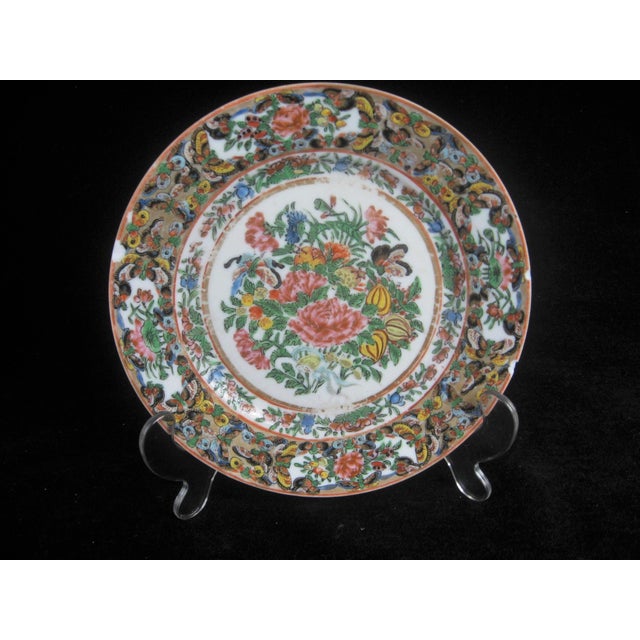 Exquisitely hand-painted, late Qing dynasty, famille rose plate in overglaze enamel with butterfly and insects....