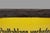 Vintage German Yellow Enamel Sign, 1900 For Sale - Image 9 of 11