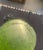 Black jaguar lazing in tree by Daum France Entitled Black panther on Emerald Tree” signed on bottom - see photos Part of...
