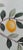 Baby Blue 36" * H100"/Panel * 5ps, Baby Blue Lemon Tree Wallpaepr, Lemon Tree Wallpaper Muural, 5 Panels For Sale - Image 8 of 9