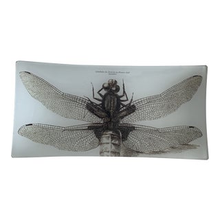 Ben's Garden Decorative Decoupage Tray For Sale