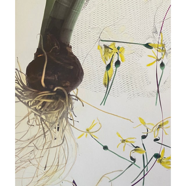 Photorealism 1980s Narcissus I Hand Painted Photographic Print For Sale - Image 3 of 5