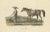 Hurter, A Civil Servant from Java, 1830s, Print For Sale - Image 4 of 5