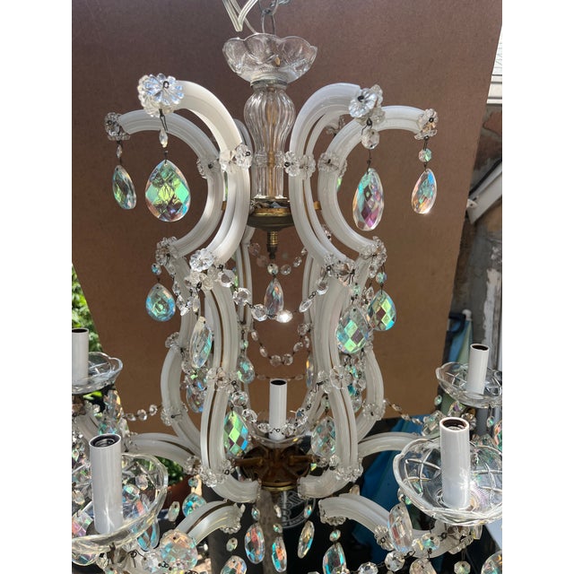 Early 20th century crystal chandelier with 6 arms and one lamp in center.