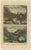 Various Fishes and Crustaceans, 1726, Paper, Set of 3 For Sale - Image 4 of 6