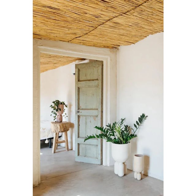 Planter Clay Vase 19 by Lisa Allegra For Sale - Image 4 of 6