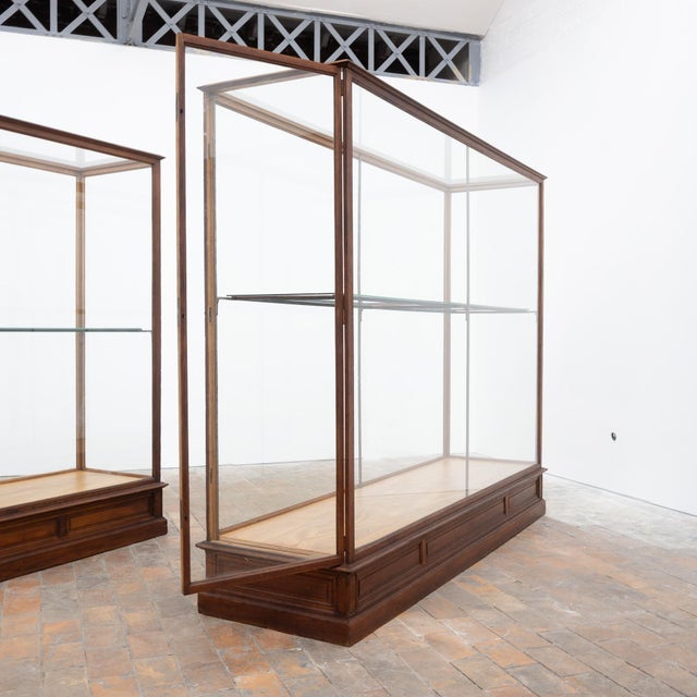 Antique Oak Museum Display Cases, 1910 For Sale - Image 9 of 18