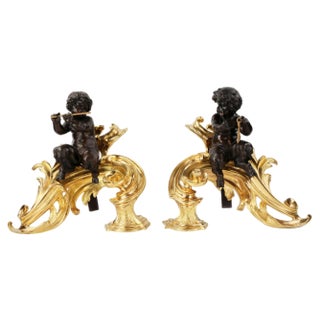 Louis XV Style Firewood Cabinets in Gilded and Patinated Bronze, Set of 2 For Sale