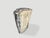 Andrianna Shamaris Minimalist Modern Organic Petrified Wood Side Table For Sale - Image 4 of 5