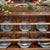 Beautiful, Second Edition (1991) Earthenware set of Six MacKenzie Childs MacLachlan dinner plates. They have been...