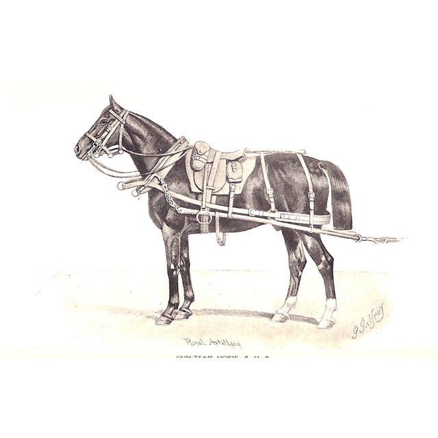 "Horses for the Army a Suggestion" 1913 Gilbey, Sir Walter Bart. For Sale - Image 4 of 4