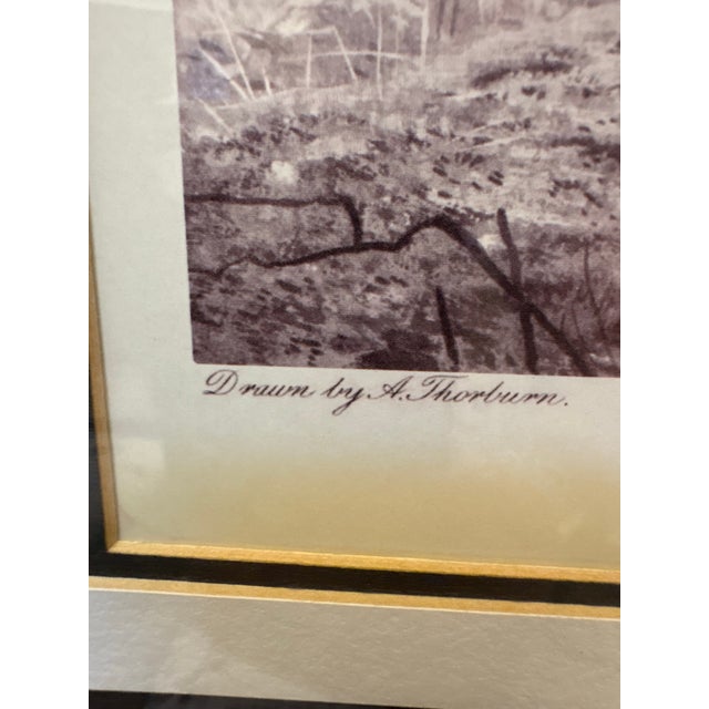 Framed Game Bird Prints After Archibald Thorburn, Pheasant & Ryper – A Pair For Sale - Image 10 of 12