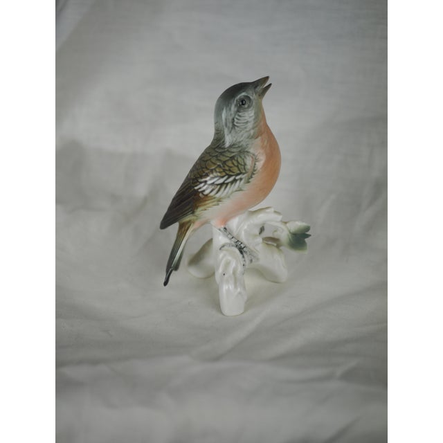 Campaign Mid-Century German Karl Ens Common Redstart Porcelain Figurine For Sale - Image 3 of 8