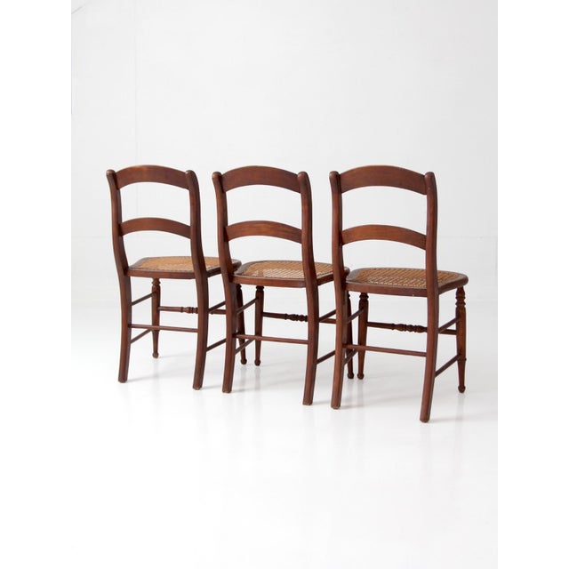 Brown Antique Cane Seat Dining Chairs Set of 3 For Sale - Image 8 of 14