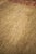 2000 - 2009 Antique Tabriz Hadjalili Rug For Sale - Image 5 of 12