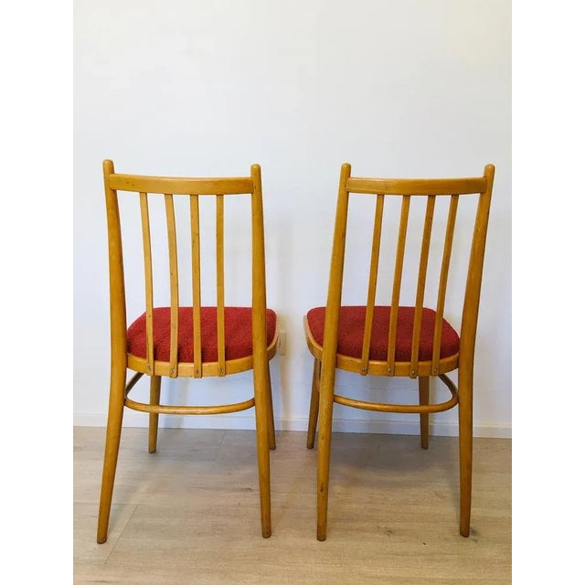 Set of Mid-Century Czech Light Blue Dining Chairs from TON For Sale - Image 4 of 16