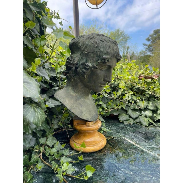 Grand Tour Grand Tour Bronze and Marble Bust of a Youth For Sale - Image 3 of 12