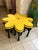 Art Deco 1960s Vintage Big Yellow Star Ottoman For Sale - Image 3 of 8