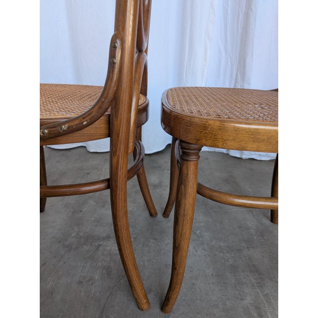 Mid-Century Bentwood Cane Dining Chair, Yugoslavia, 1970s, Set of 6 For Sale - Image 11 of 18