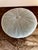 Vintage Hollywood Regency Pleated Sage Green Velvet Round Ottoman Featuring Elegant Cast Brass Cabriole Legs For Sale In Milwaukee - Image 6 of 14