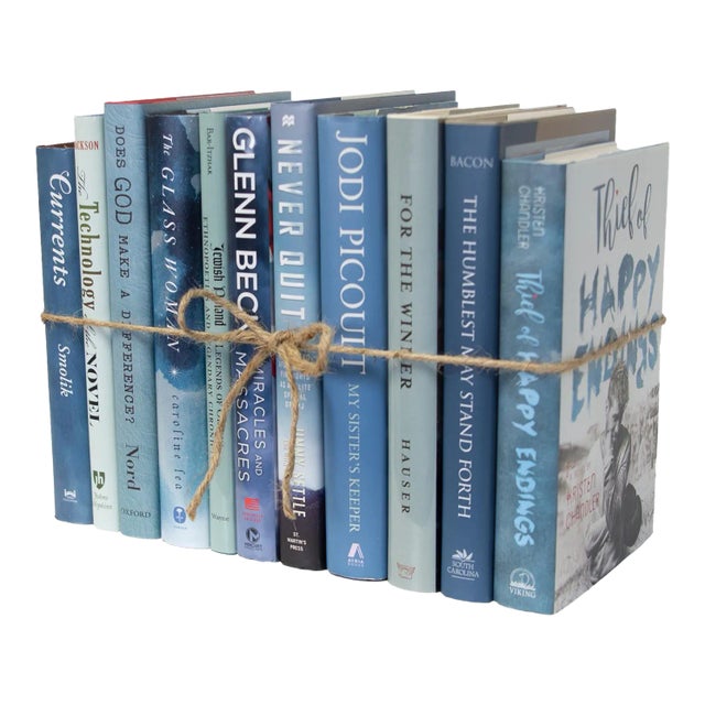 Decorative Books - Storm Dust Jacket Book Bundle - 1 Foot of Blue Books For Sale
