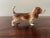 English Porcelain Basset Hound Figurine For Sale - Image 4 of 13