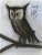 Abstract 1967 Bernard Buffet the Little Owl Original Lithograph For Sale - Image 3 of 3