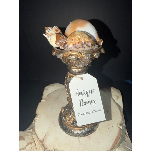 Celestial Meets the Sea Baroque Shells-Coastal Art Sculpture For Sale - Image 4 of 6