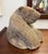 1970s Inuit Wilson Oozeva Carving of Polar Bear For Sale - Image 10 of 18