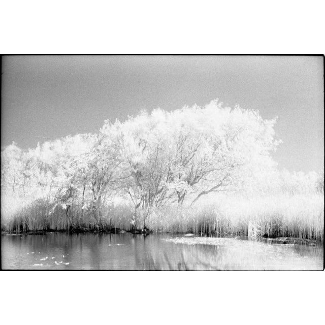 Not Yet Made - Made To Order Paul Cooklin, Lake, Dunwich Heath (Infrared), Edition of 50 For Sale - Image 5 of 5