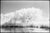 Not Yet Made - Made To Order Paul Cooklin, Lake, Dunwich Heath (Infrared), Edition of 50 For Sale - Image 5 of 5