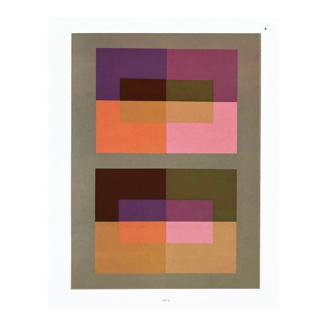 2009 Josef Albers the Interaction of Color Plate Xiv-3 For Sale