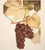 1900s U. P. Hedrick, Original Antique Photogravure of Ioana Grapes For Sale In Dallas - Image 6 of 8