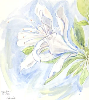 Charles Blaze Vukovich Watercolor - Azalea