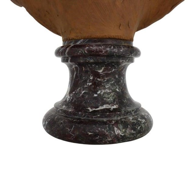 Rare French Classical Terra Cotta Bust of Young Marie Antoinette C1890 For Sale - Image 11 of 12