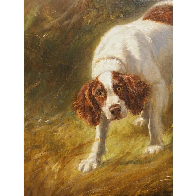 Antique French Hunt Painting of Setters and a Mallard, Oil on Canvas, 1904 For Sale - Image 16 of 18