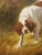 Antique French Hunt Painting of Setters and a Mallard, Oil on Canvas, 1904 For Sale - Image 16 of 18